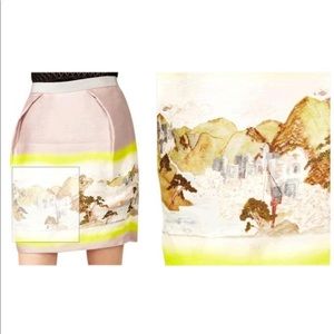 Matthew Williamson Skirt